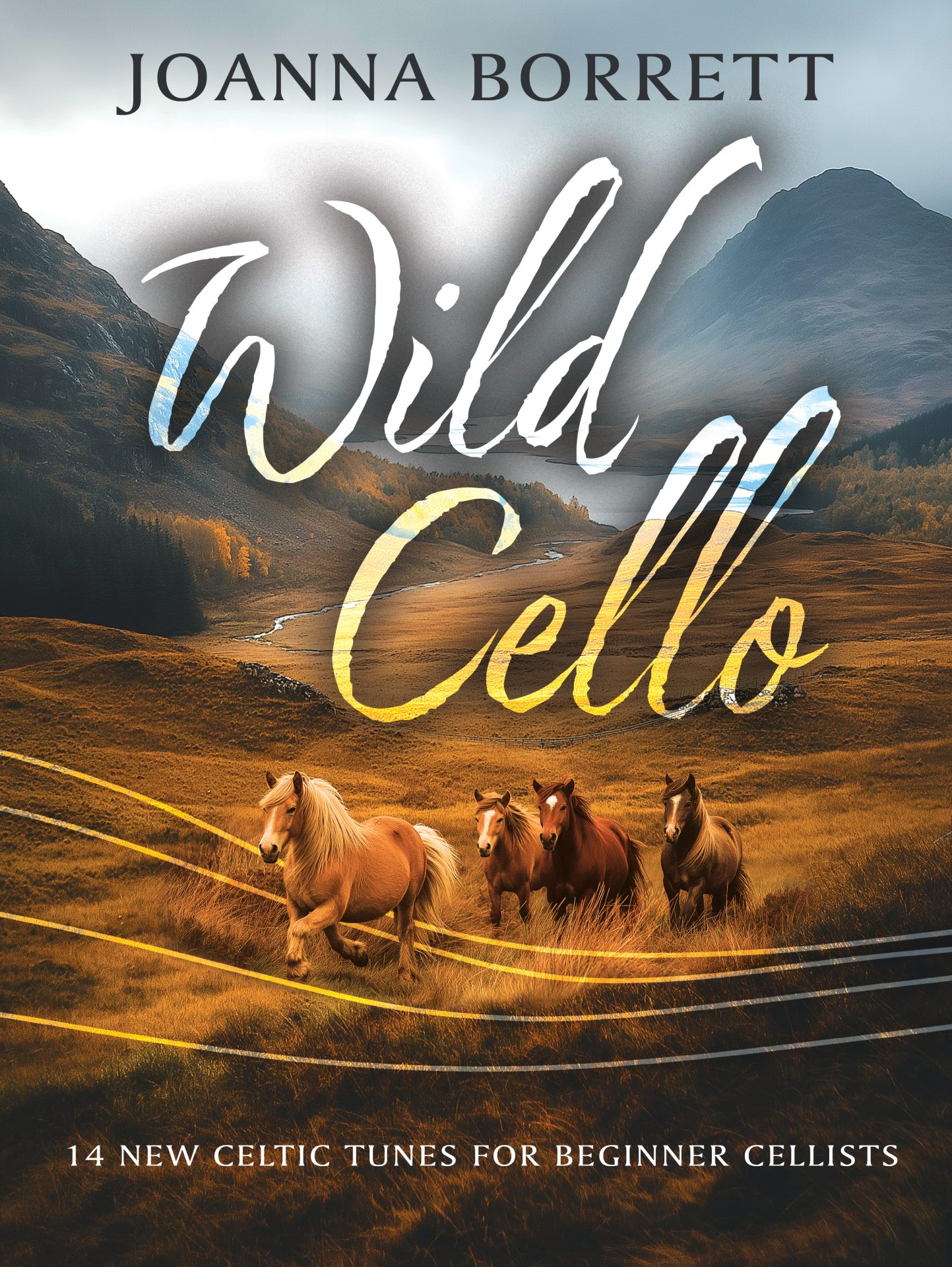 Wild Cello by Joanna Borrett
